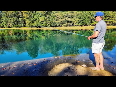 Видео: Городской пруд кишит рыбой!!! (Соревнование по рыбной ловле)