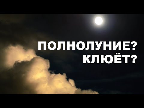 Видео: 5% МУЖИКОВ ЗНАЮТ ЭТО / КАК ВЛИЯЕТ ЛУНА НА ТИХУЮ ОХОТУ / SeMano TV