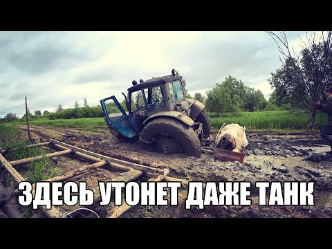 Видео: УТОПИЛИ ТРАКТОР! МТЗ-52. ТАКОГО НЕ ОЖИДАЛ НИКТО!!! ЗАЧЕМ ОНИ ТУДА ПОЕХАЛИ...