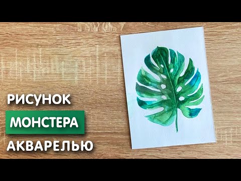 Видео: Как нарисовать монстеру карандашом и акварелью начинающим | Рисунок для детей