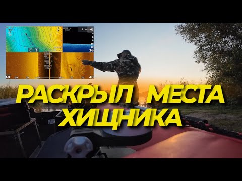 Видео: Как выглядит СУДАК,ЩУКА и БЕРШ в ЭХОЛОТЕ.Рыбалка с лодки на Волге.
