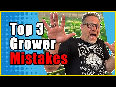 Видео: Три вещи, которые я хотел бы знать, прежде чем начать выращивать каннабис