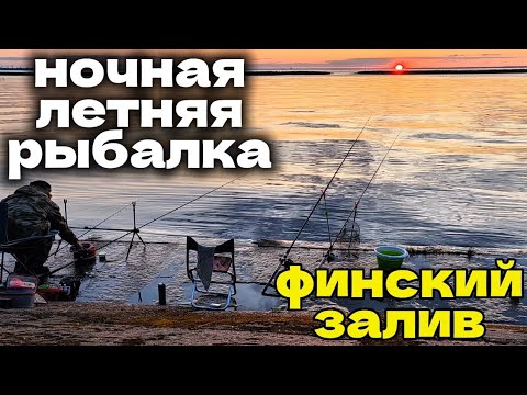 Видео: Ночная летняя рыбалка. Ловля леща на Финском заливе. Рыбалка на фидер и пикер.