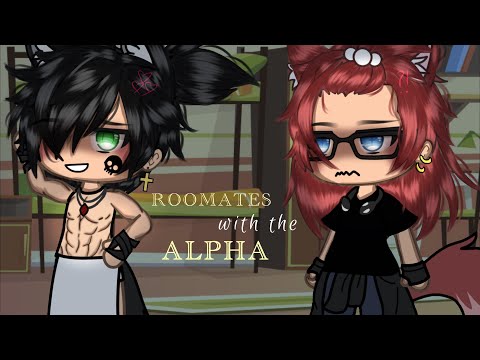 Видео: -`♡´- соседи по комнате с АЛЬФОЙ 💋🐺 — | BL GLMM | GAY GLMM | Альфа x Бета | 80k?
