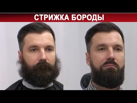 Видео: Стрижка бороды | Как стричь бороду?