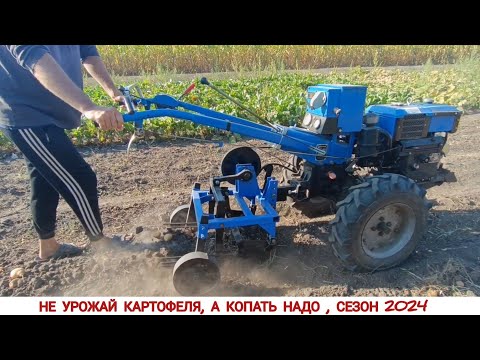 Видео: НЕ УРОЖАЙ КАРТОФЕЛЯ 2024 ( КОПАЕМ ГРОХОТНОЙ КОПАЛКОЙ КЕНТАВР / POTATO HARVESTING SEASON 2024