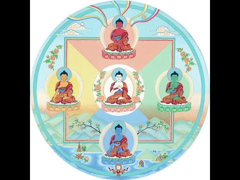 Видео: Висуддхимагга, 14-1: понятие мудрости, материя