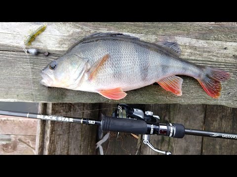 Видео: XESTA BLACK STAR s83 тест на днепровских окунях. Первая рыбалка с новым супер лайтиком!