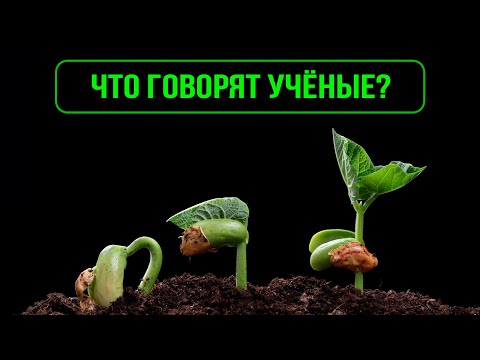 Видео: Микробы вместо удобрений. Это работает! // Что говорят учёные?