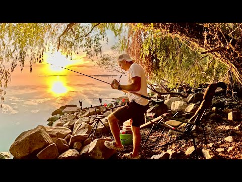 Видео: Це просто РАЙСЬКИЙ ЗАКУТОК РИБАКА! САЗАН НА ФЛЕТ ФІДЕР!