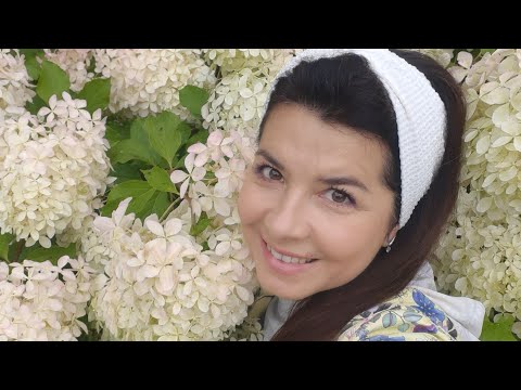 Видео: Шикарные гортензии и #СобачкаРомашка🌺🌿💫