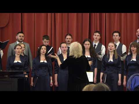 Видео: Богородице Дево, радуйся - концертный хор ВХС "На Фонтанке" 2025-04-30