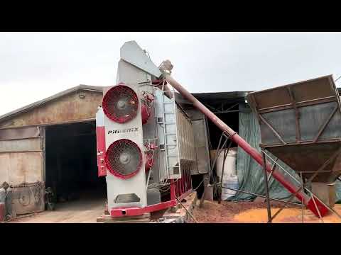 Видео: Сушимо кукурудзу мобільною зерносушаркою Фенікс! Врожай 2023