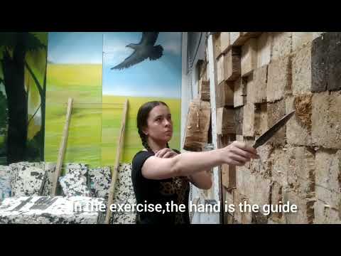 Видео: Анализ упражнения 1. Сканф. Skanf.