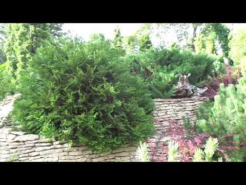 Видео: 5-я часть-САД ЛЮДМИЛЫ В ОСИНОВОЙ РОЩЕ - Санкт - Петербург   в Контакте...https://vk.com/id127371941