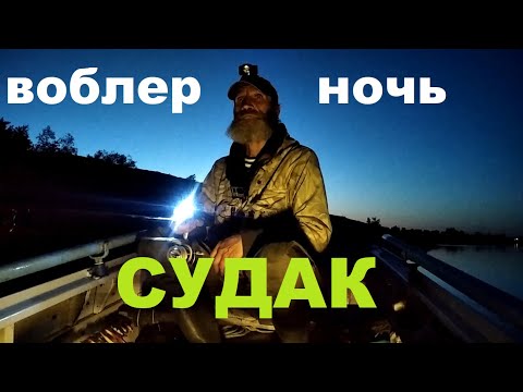 Видео: Воблер. Ночь. Судак.