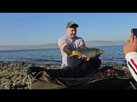 Видео: Открытие сезона. Озеро Кинерет.