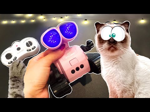 Видео: РОБОТ ТОВАРИШ robot friend unboxing РОЗПАКОВКА З КОТИКОМ ОСКАРОМ колібрі арт