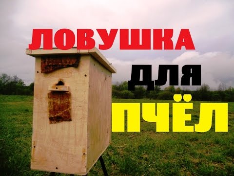 Видео: Делаем ловушку для пчёл / роёв. Быстро и просто.Пчеловодство..