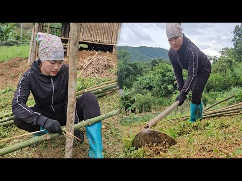 Видео: Девушка возвращается к повседневной жизни – достраивает дом новым забором!