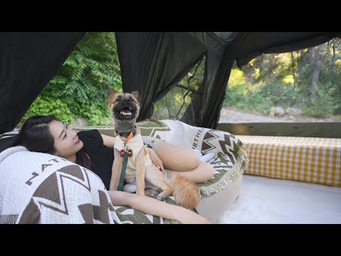 Видео: Я построил дом с открытым потолком всего за 30 минут! Одиночный кемпинг V-Log, уютная обстановка