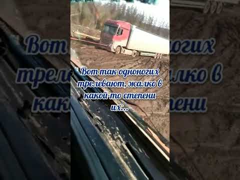 Видео: Ковыкта!!! Дорога валится!!! Зарисовки из рейсов.