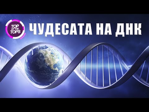 Видео: Топ 10 удивителни факта за ДНК