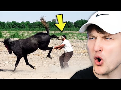 Видео: Дюймы до катастрофы