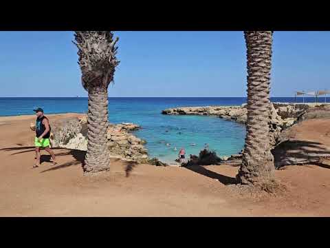 Видео: НЕ ЗОЛОТАЯ ОСЕНЬ
