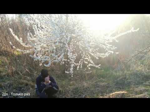 Видео: ЛУЧШИЕ ПЕСНИ ДЛЯ ДУШИ | Джиос, Дима Лелюк, Xamm, 20n |