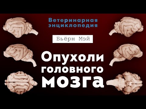 Видео: Опухоли головного мозга