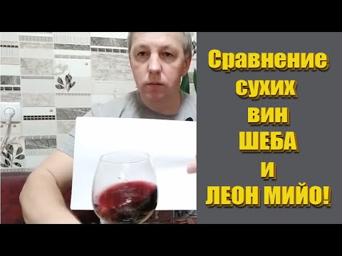 Видео: Сравнение сухих вин 2019г ЛЕОН МИЙО и ШЕБА!