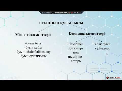 Видео: Буынның құрылысы мен қызметтері