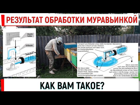 Видео: Результат обработки муравьинкой. Всё не однозначно!