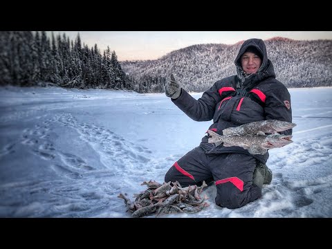 Видео: ЩУКИ И ОКУНИ !!! РЫБАЛКА В -30 !!! БИРЮСИНСКИЙ ЗАЛИВ КВХ