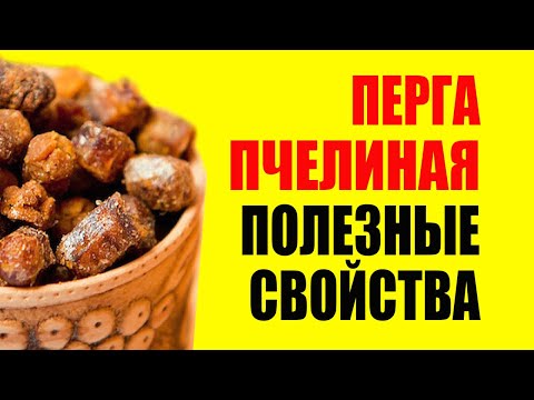 Видео: Не Покупайте Пергу, Пока Не Узнаете Эту Важную Информацию