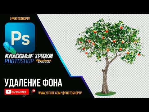 Видео: Удаление фона в 2 шага в Фотошопе при помощи каналов | Photoshop TV