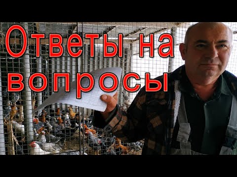 Видео: Отвечаю на комментарии | Вопросы подписчиков