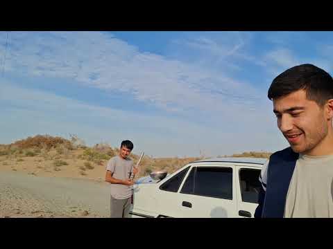 Видео: ДАЛАГА ТАШРИФ КУРСАТУВИ 