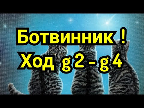 Видео: 14) Ход  g-2  g-4  Творчество Ботвинника.