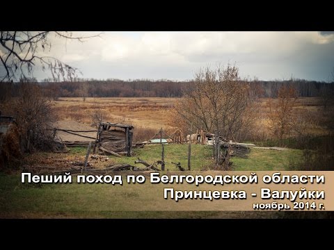 Видео: Пеший поход по Белгородской области Принцевка Валуйки