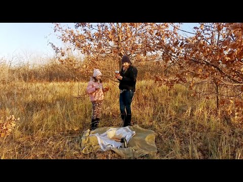 Видео: Уютная осень. Дачные хлопоты. Готовим шарлотку и тыквенный суп с грибами. Смотреть с субтитрами!