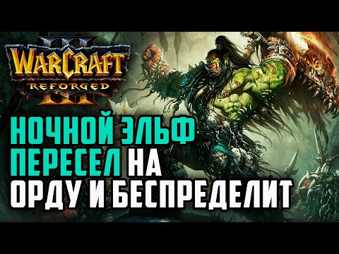 Видео: Ночной эльф пересел на Орду и беспределит: Sini (Orc) vs Pcg_123 (Ud) Warcraft 3 Reforged