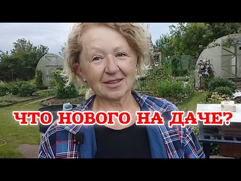 Видео: Клематисы в цвету, эустома ведет себя странно, всё в сорняке, погода просто трэш