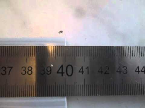 Видео: Самодельная линейка для плиткореза "Матрикс".