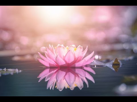 Видео: 👀💖МИСТЕРИОЗНИ СЪОБЩЕНИЯ 🍀ОТ ДУХОВНИТЕ  ВИ  ВОДАЧИ💖👀