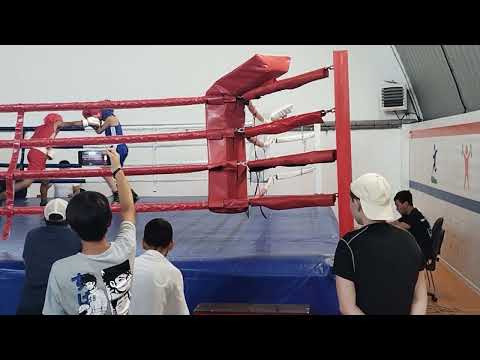 Видео: 1 октября 2025 г.