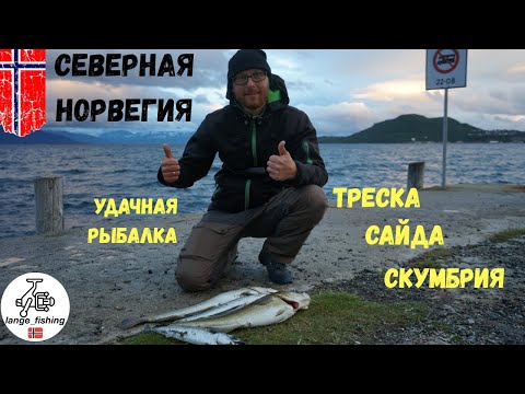 Видео: УДАЧНАЯ РЫБАЛКА НА СЕВЕРЕ НОРВЕГИИ. Рыбалка в Норвегии, город Харстад. ТРЕСКА, САЙДА, СКУМБРИЯ.