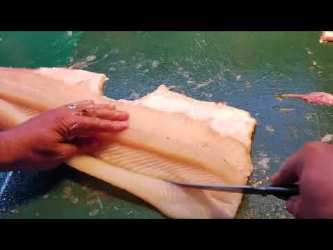 Видео: Как приготовить филе северной щуки без костей!! (Y bone)