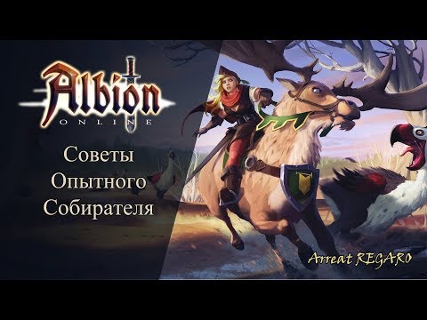 Видео: Albion online : Советы опытного собирателя